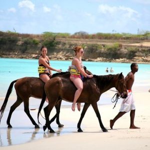 Beach Horse Back Riding