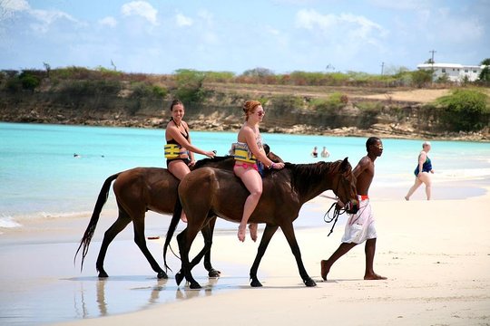 Beach Horse Back Riding