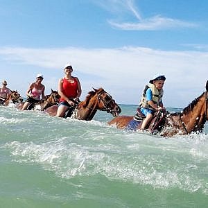 Beach Horse Back Riding