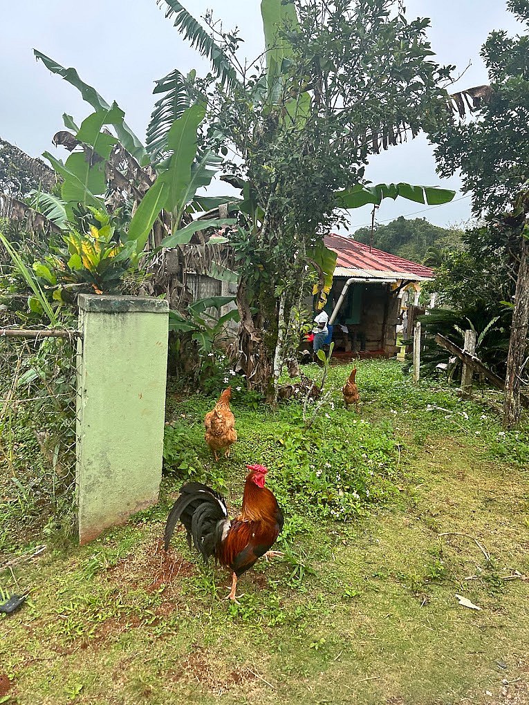 Countryside and Sightseeing