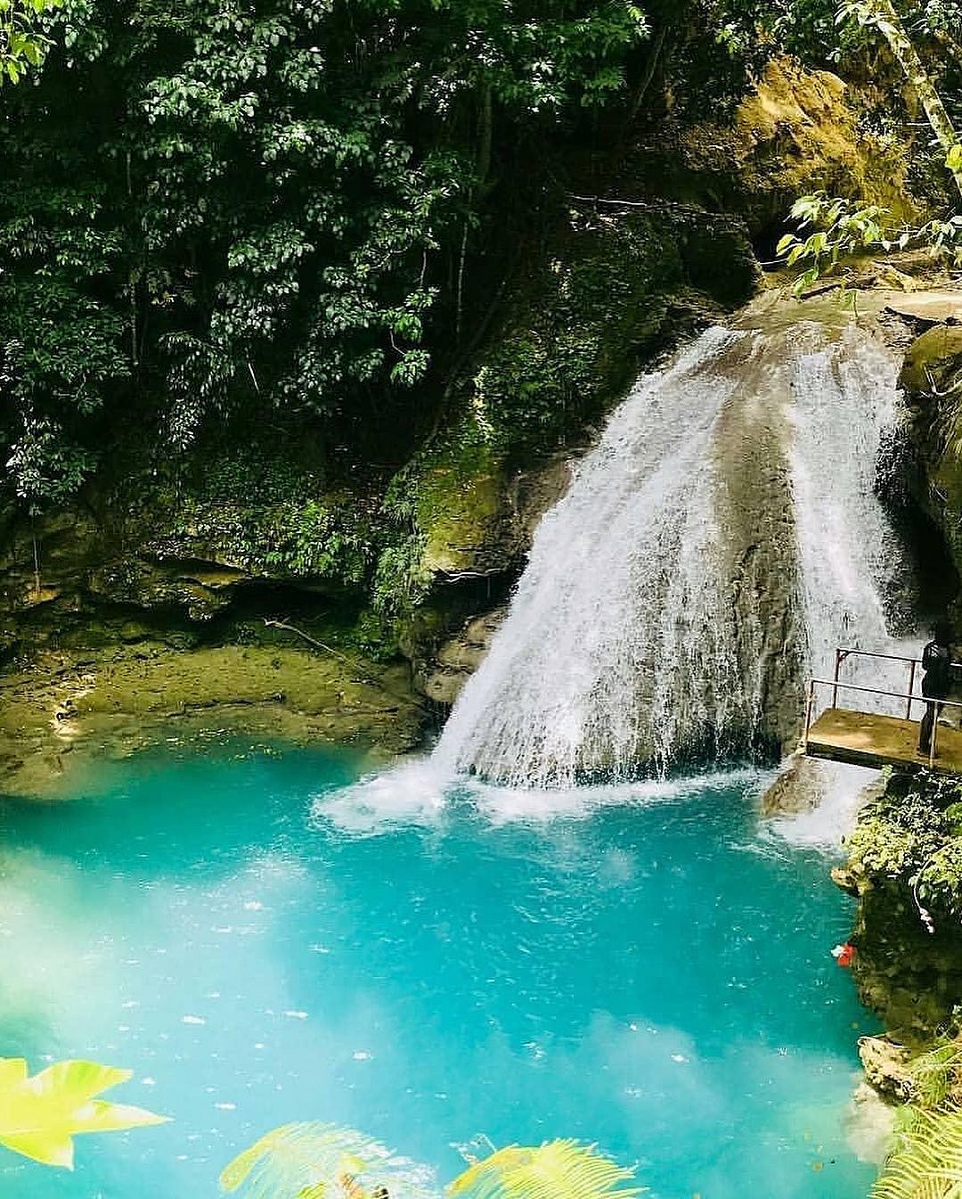 Blue Hole Ocho Rios | Island Gully Falls