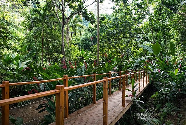 Ocho rios Highlights - Konoko Gardens