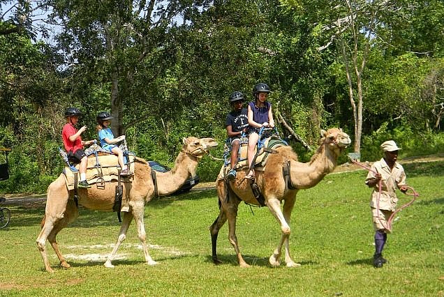 Yaahman Adventure Park Ocho Rios
