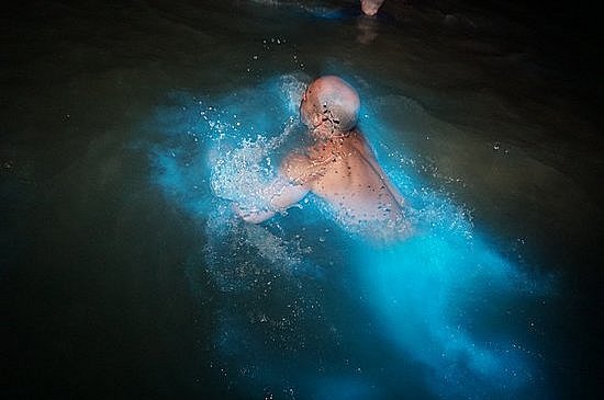 Luminous Lagoon Jamaica/Glistening Waters