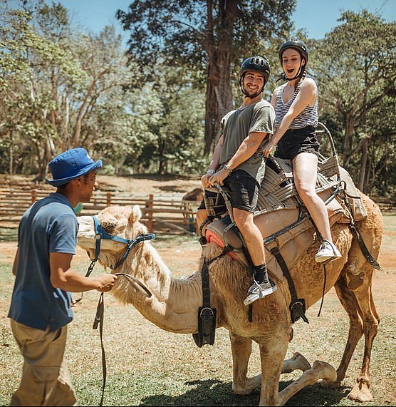 Yaaman Adventure Park